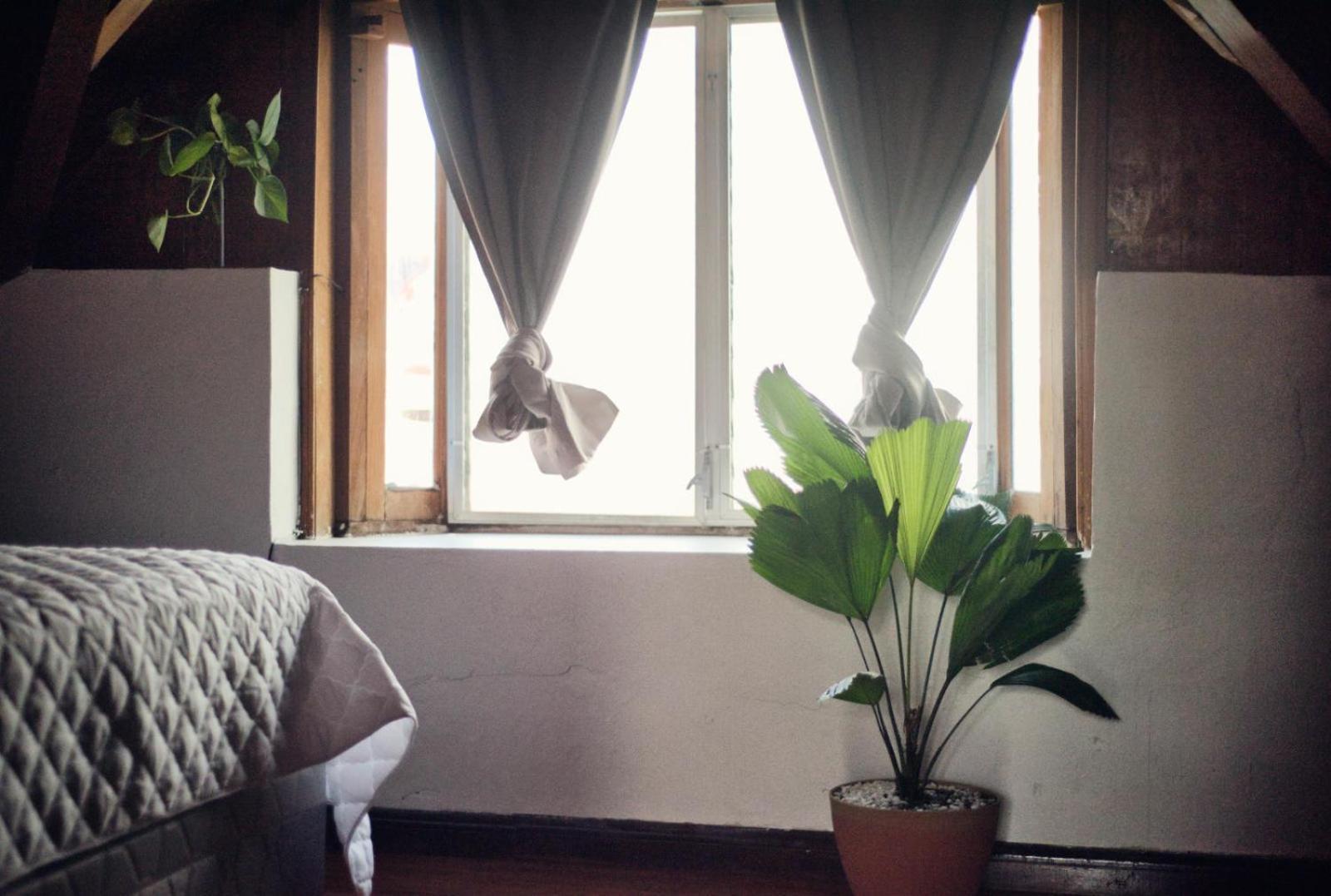 Hostal Don Cenobio ฟลอเรส ภายนอก รูปภาพ